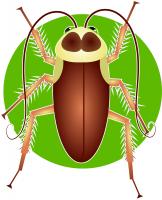 cockroach