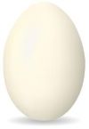 egg