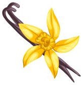 vanilla
