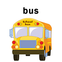 bus