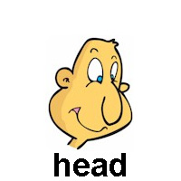 head