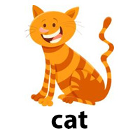 cat