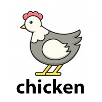 chicken