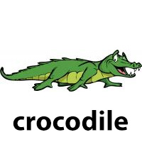 crocodile