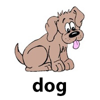 dog