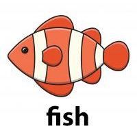 fish