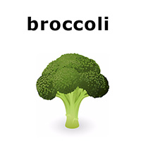 broccoli