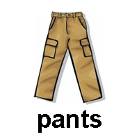 pants