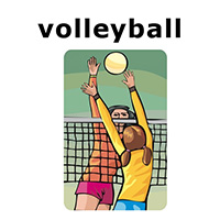 volleyball