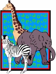 animals