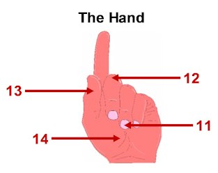 hand