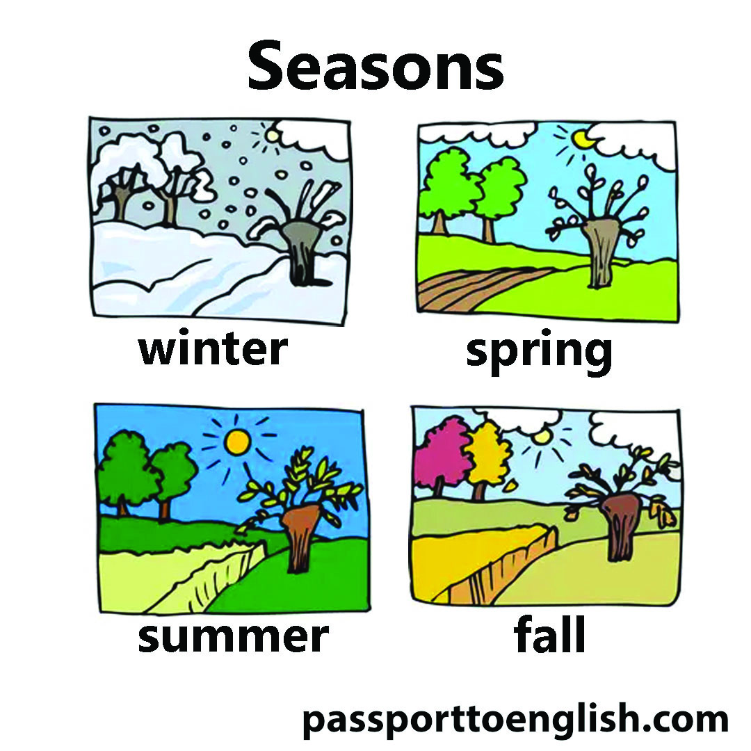 seasons infographic