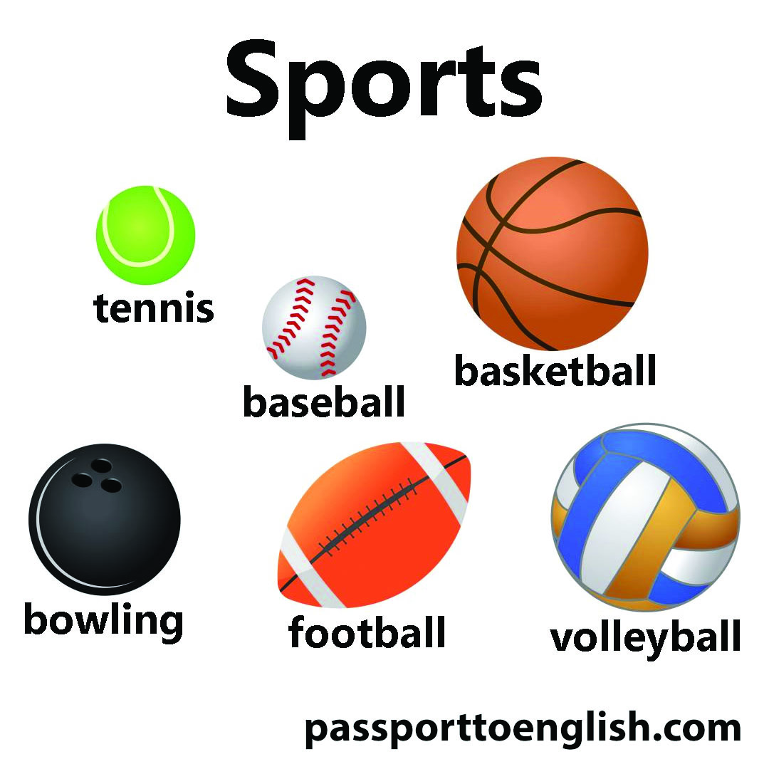sports infographic